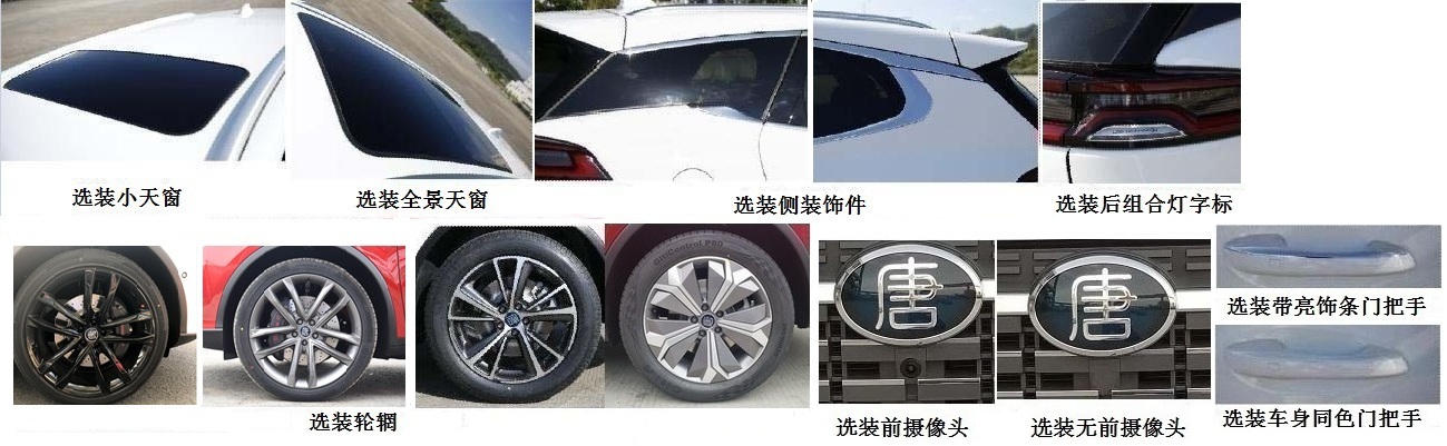 比亚迪牌BYD6490SBEV6纯电动多用途乘用车公告图片