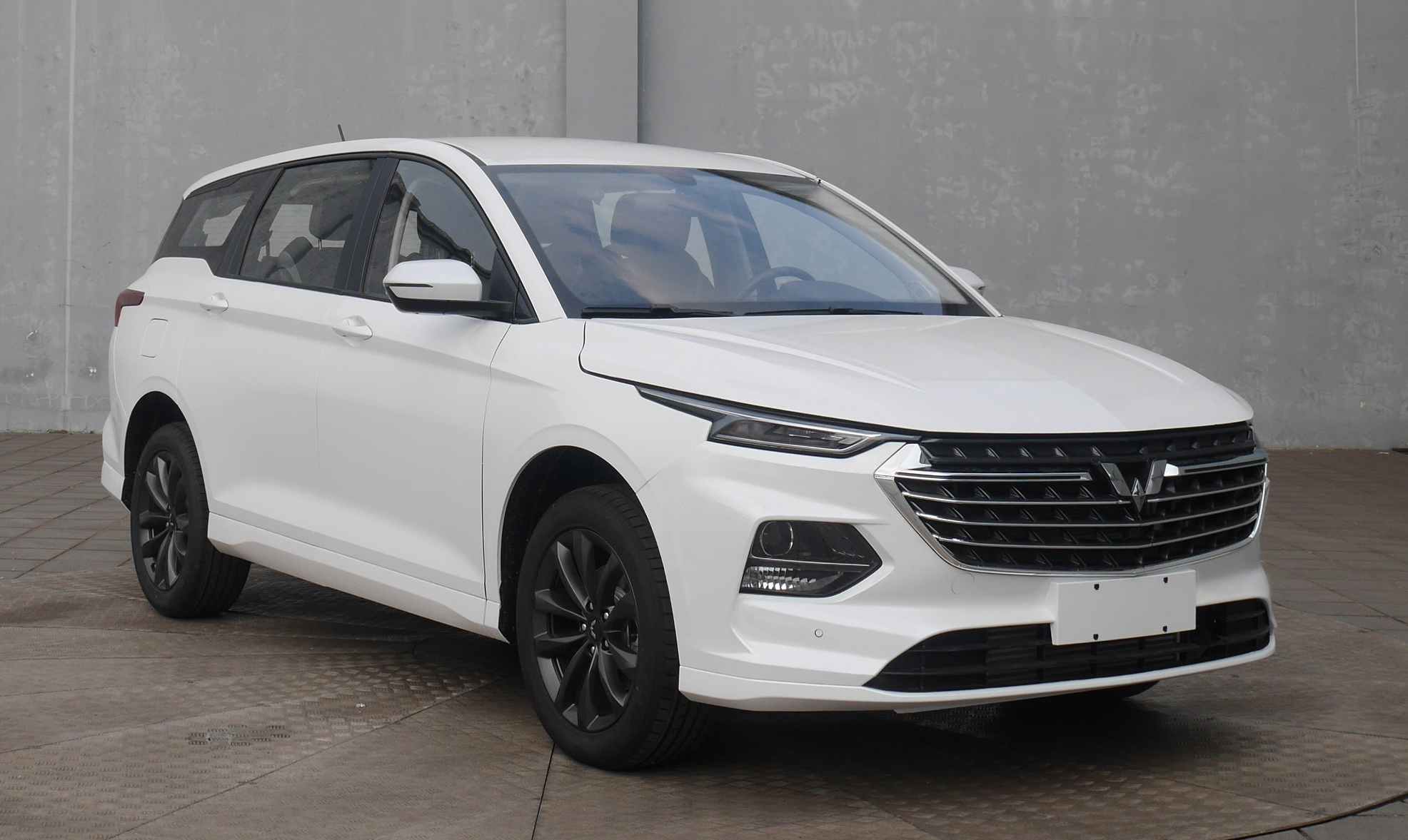 五菱牌LZW6492DWW多用途乘用车图片