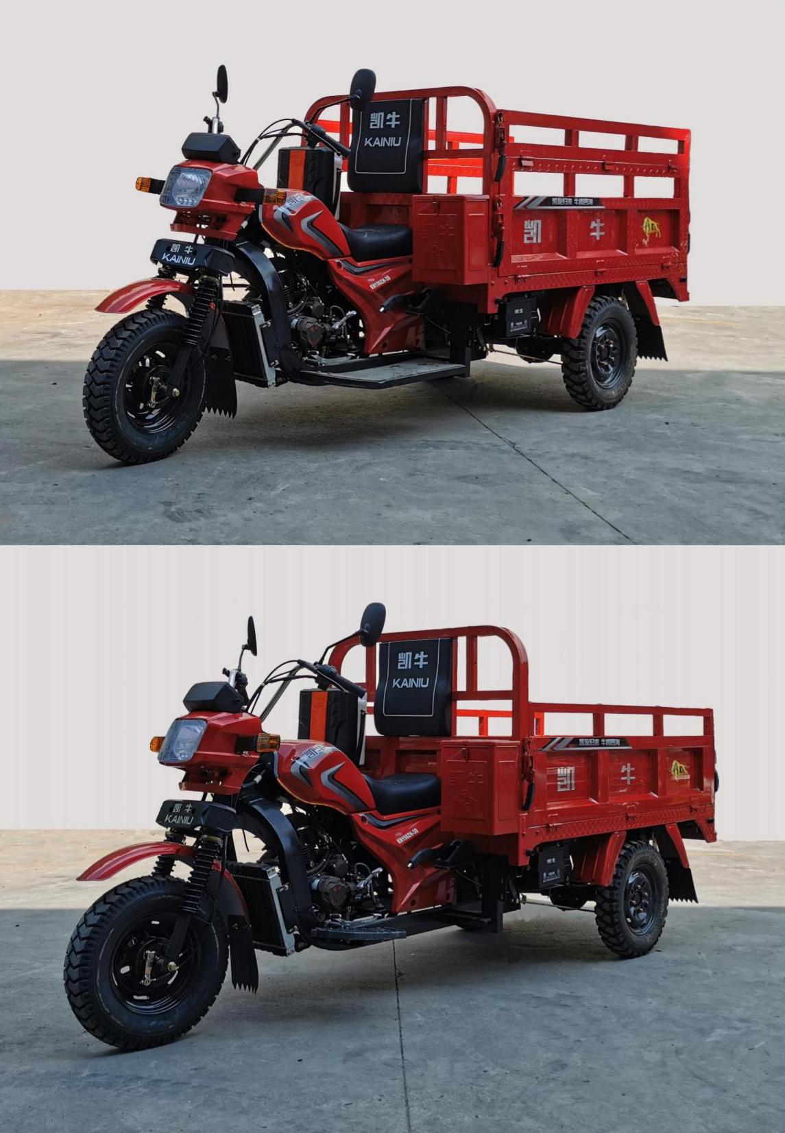 凯牛牌KN150ZH-3D正三轮摩托车公告图片