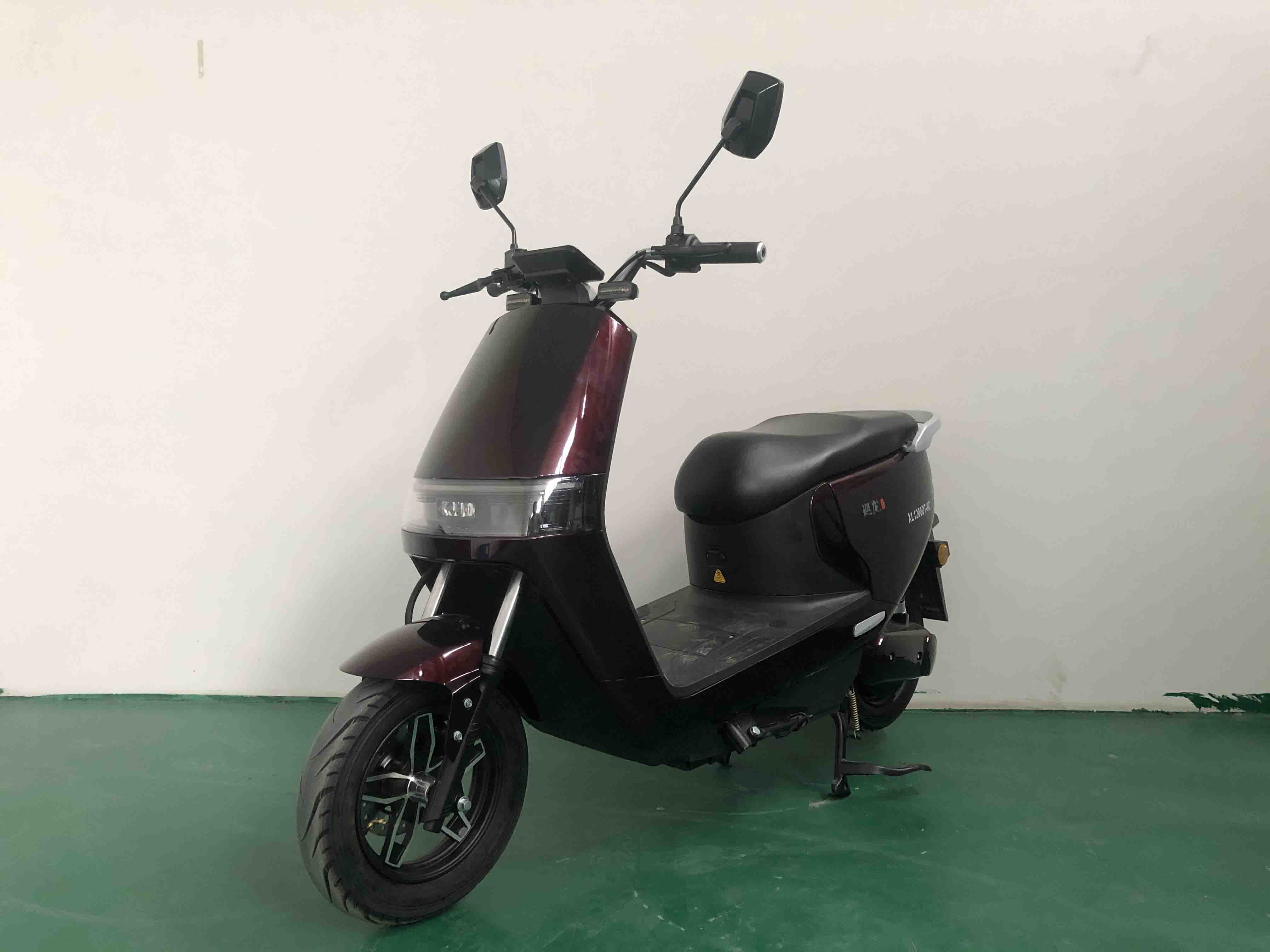 巡龙牌XL1200DT-9C电动两轮摩托车公告图片