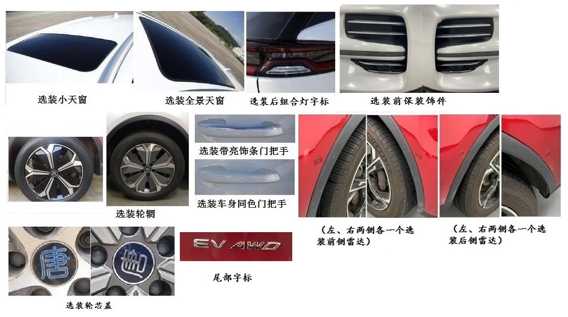 比亚迪牌BYD6490SBEV11纯电动多用途乘用车公告图片