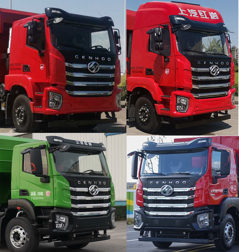 醒獅牌SLS5310ZWXH6污泥自卸車公告圖片