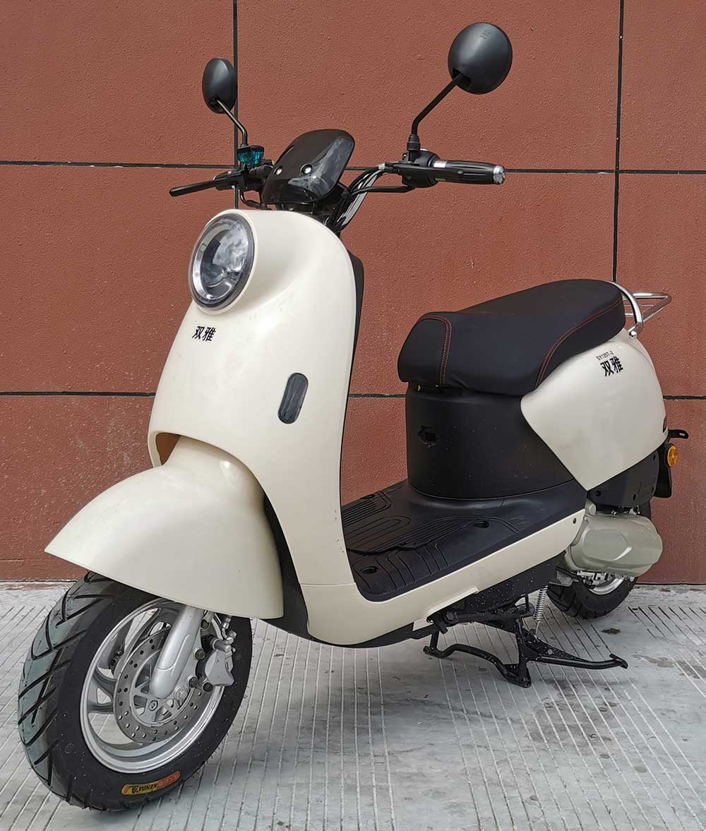 双雅牌SY125T-2两轮摩托车公告图片