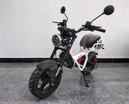 木兰牌ML1500D电动两轮摩托车公告图片
