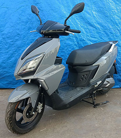 广雅牌GY125T-5F两轮摩托车公告图片