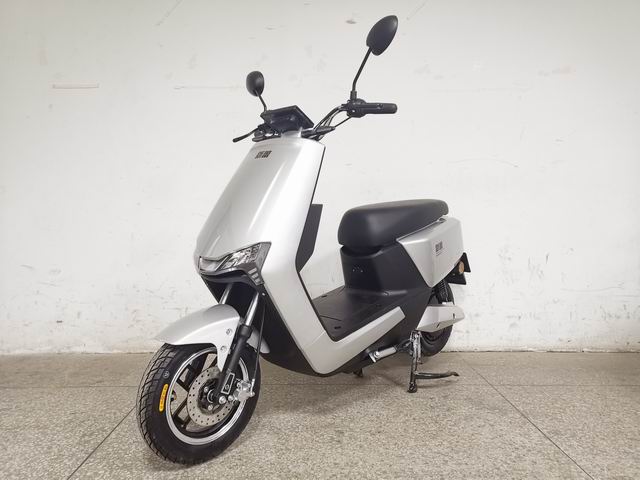 新蕾牌XL600DQT-16电动两轮轻便摩托车图片