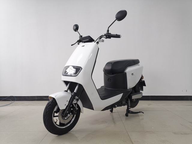 新蕾牌XL600DQT-18电动两轮轻便摩托车图片