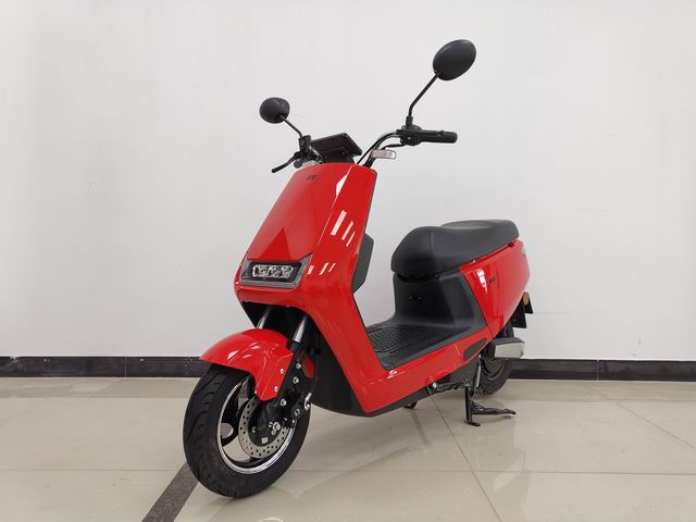 新蕾牌XL500DQT-13电动两轮轻便摩托车图片