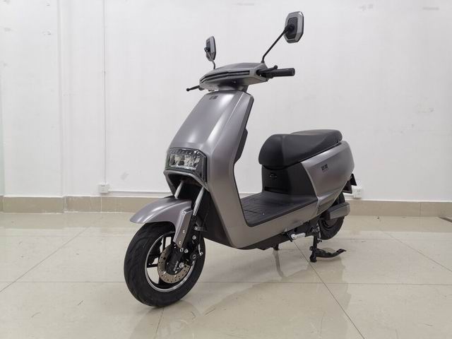 新蕾牌XL600DQT-19电动两轮轻便摩托车图片