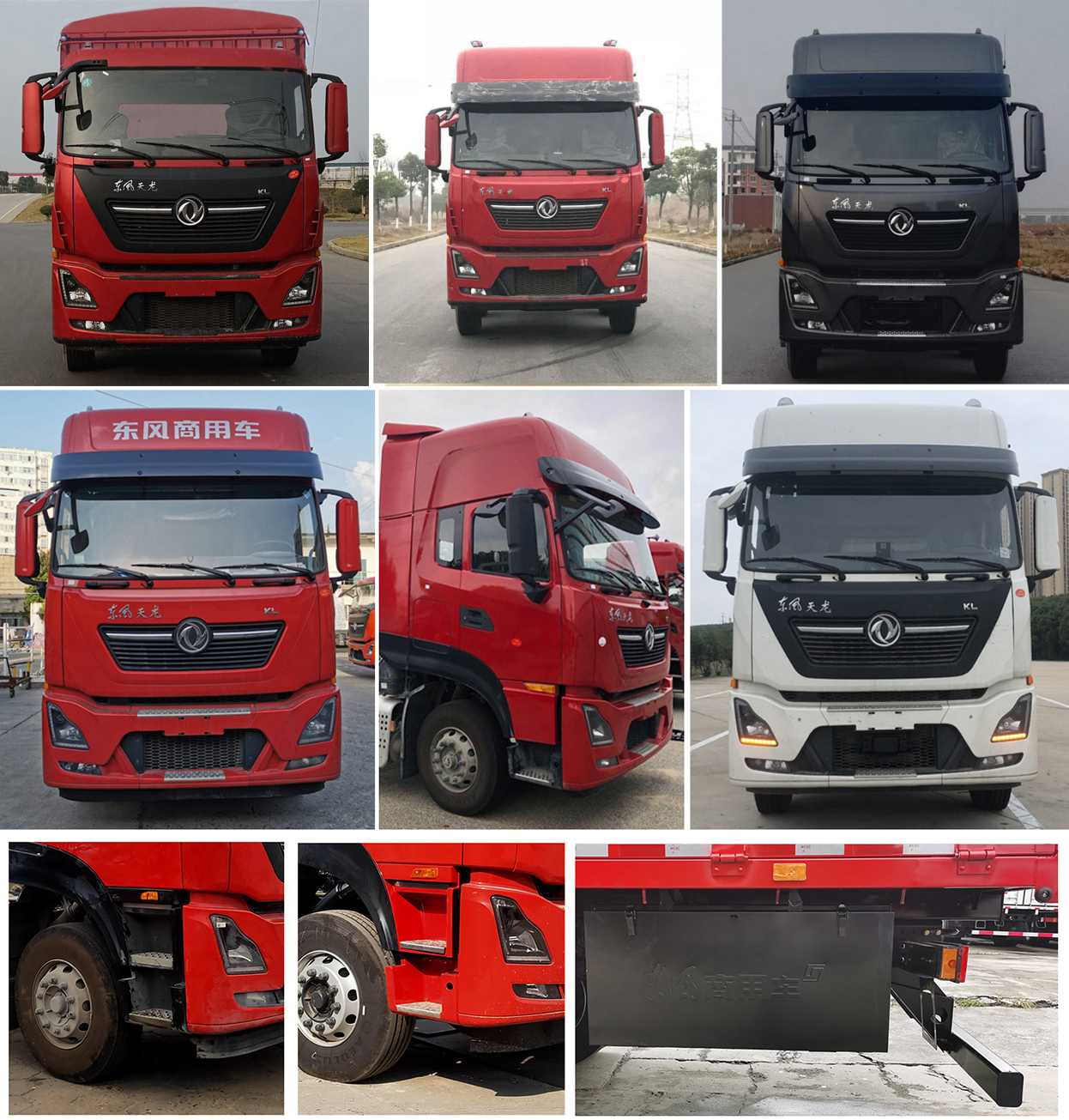 東風(fēng)牌DFH5250CCQDX6畜禽運(yùn)輸車(chē)公告圖片