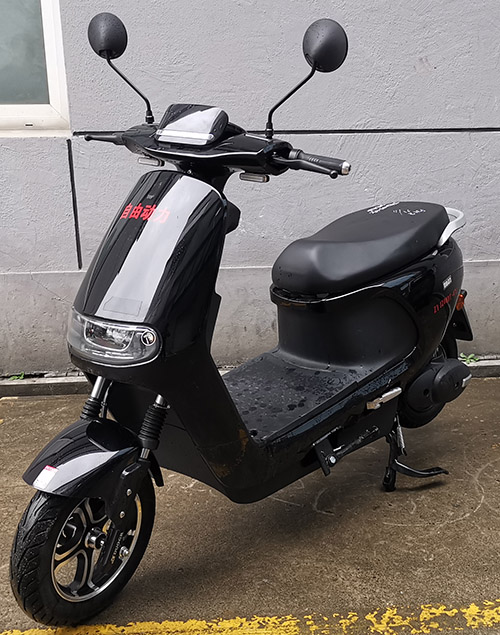 自由动力牌ZY1200DT-47C电动两轮摩托车图片