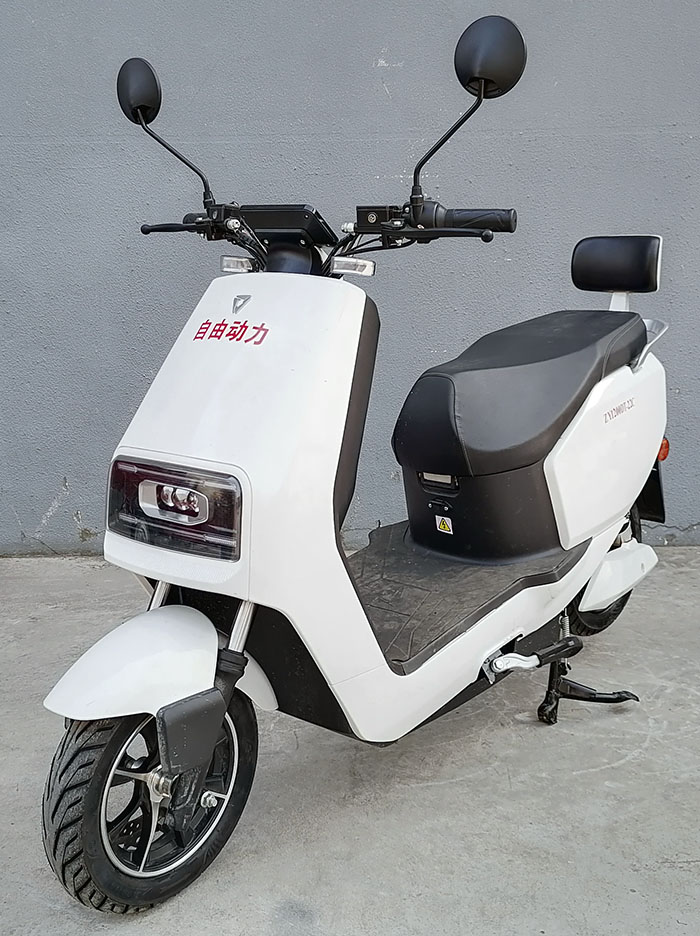 ZY1200DT-22C 自由动力牌纯电动前盘式后盘式电动两轮摩托车图片