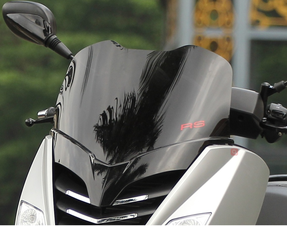 标致牌QP200T-E两轮摩托车公告图片
