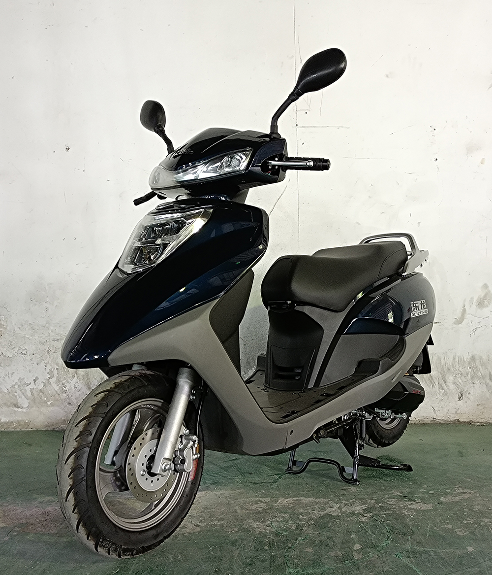 东龙牌DL125T-6S两轮摩托车公告图片