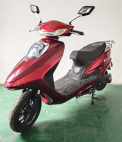 東之牌DZ1200DT-3电动两轮摩托车公告图片