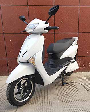 斗鸽儿牌DGR1500DT-2A电动两轮摩托车公告图片