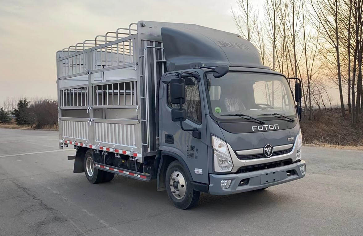 福田牌BJ5048CCY9JDA-AB4倉(cāng)柵式運(yùn)輸車(chē)公告圖片