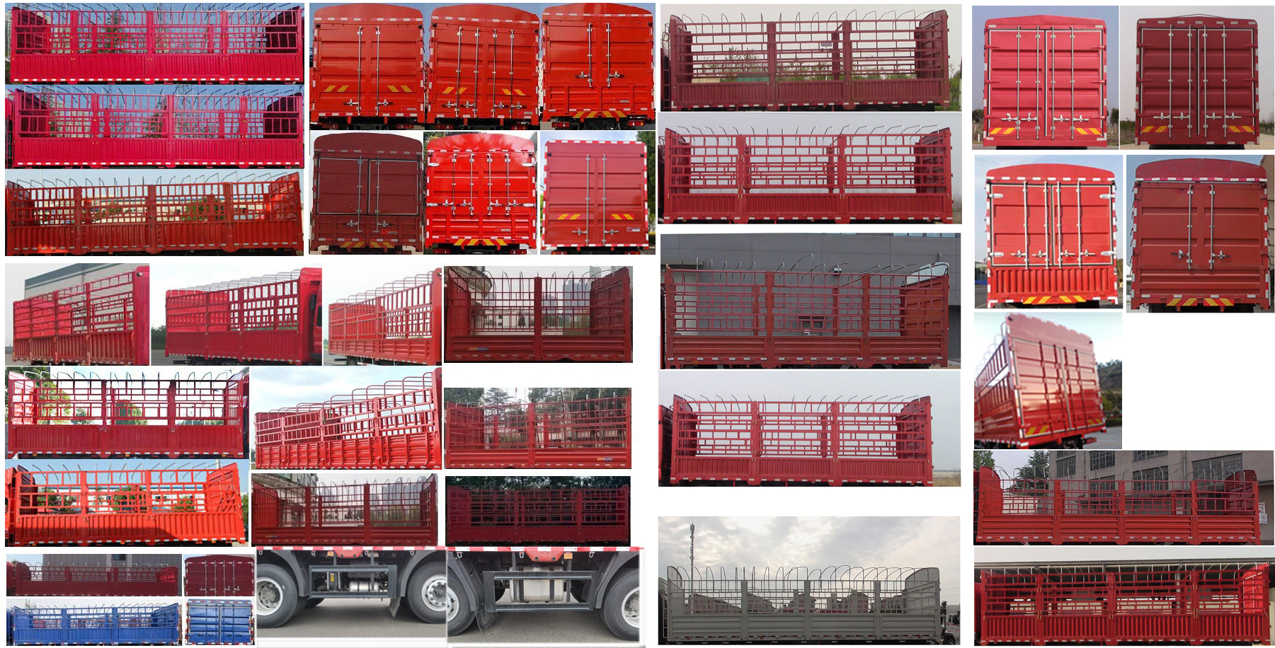 大運(yùn)牌DYQ5243CCYD6CB倉(cāng)柵式運(yùn)輸車公告圖片