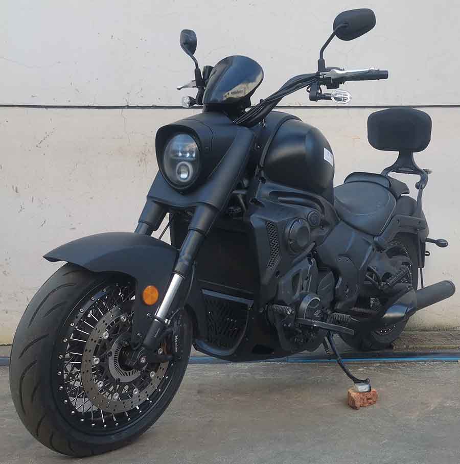 摩枭牌MX650-5D两轮摩托车公告图片