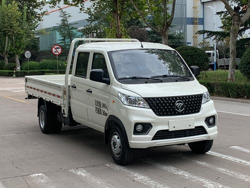 福田牌BJ1030V4AV8-32载货汽车公告图片