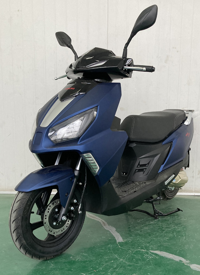 本菱牌HL125T-2D两轮摩托车公告图片