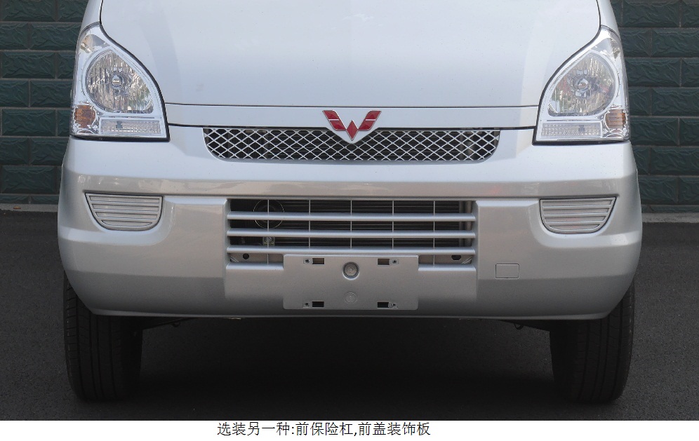 LZW1029SEQ6A 五菱牌102马力单桥汽油2.1米国六双排载货汽车图片