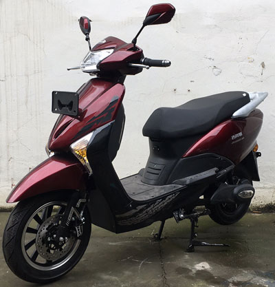 雅微牌YW1200DQT-24A电动两轮轻便摩托车公告图片