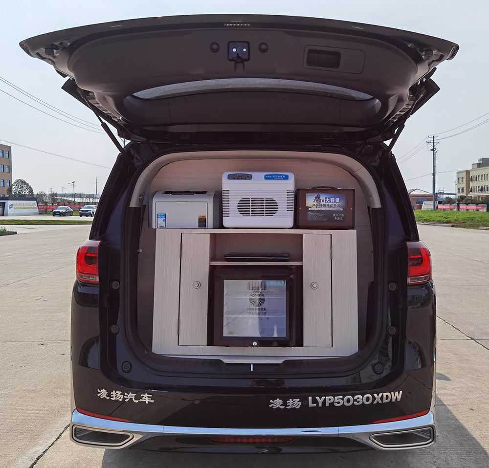 凌揚牌LYP5030XDW流動服務車公告圖片