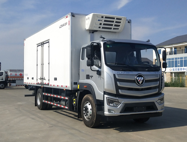 雷薩牌BJ5186XLC-LX冷藏車公告圖片