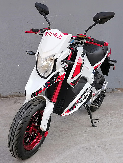 ZY1500D-X 自由动力牌纯电动前盘式后盘式电动两轮摩托车图片