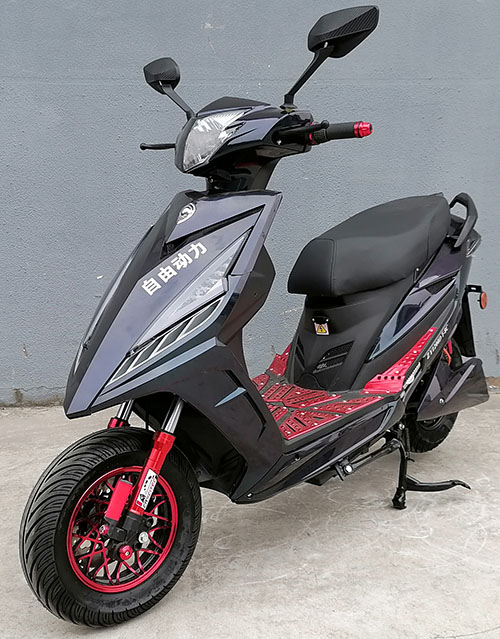 ZY1200DT-8C 自由动力牌纯电动前盘式后盘式电动两轮摩托车图片