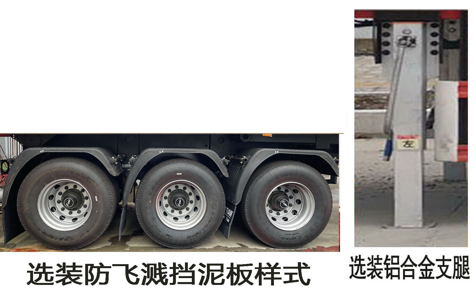 驰田金钢牌EXQ9400TJZ集装箱运输半挂车公告图片