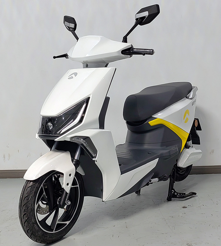 金箭牌JJ1200DT-10电动两轮摩托车公告图片