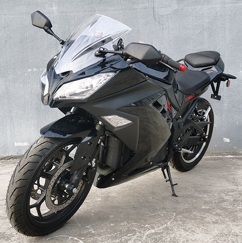 ZY3000D-X 自由动力牌纯电动前双盘后盘式电动两轮摩托车图片