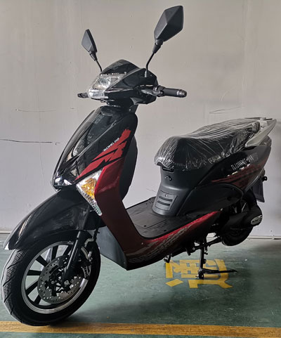 台隆牌TL1200DQT-24A电动两轮轻便摩托车图片