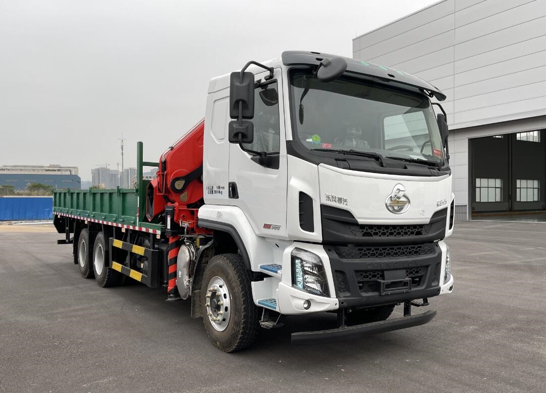 凌揚牌LYP5251JSQ隨車起重運輸車公告圖片