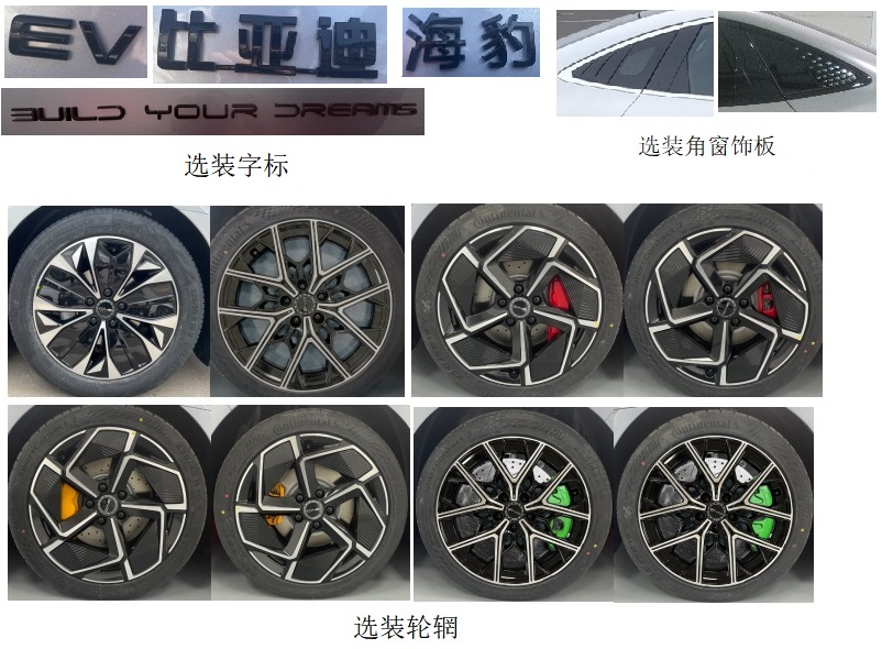 比亚迪牌BYD7006BEVA2纯电动轿车公告图片