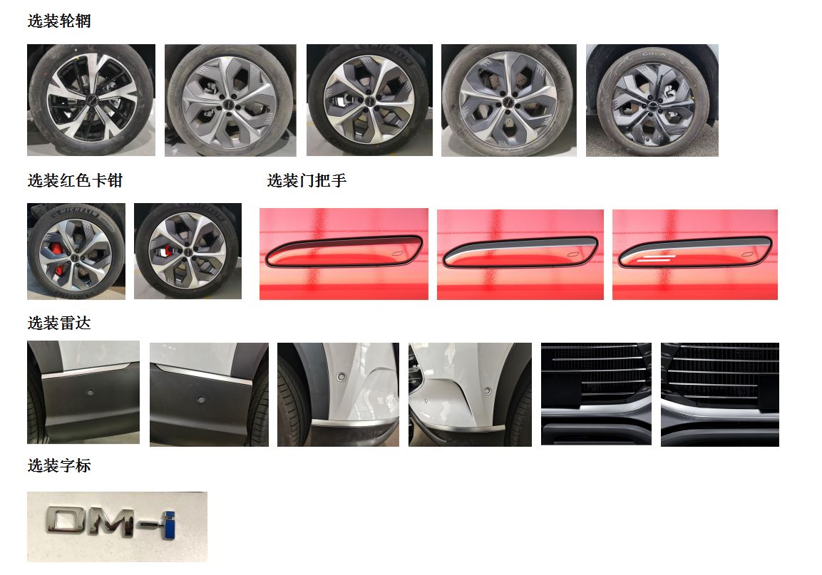 比亚迪牌BYD6482ST6HEV1插电式混合动力多用途乘用车公告图片