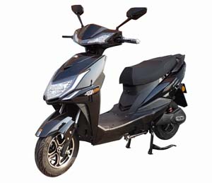 新陵牌XL1000DQT-2电动两轮轻便摩托车图片