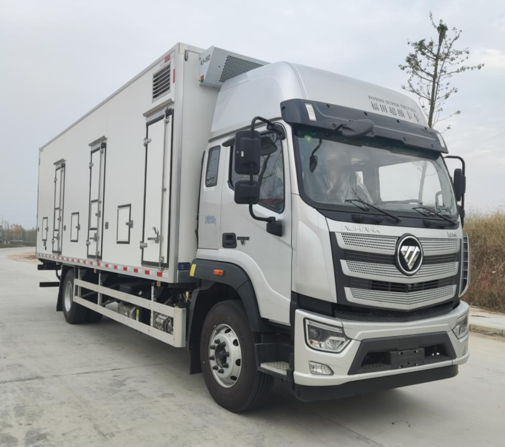 瑞力星牌RLQ5186XCQB6雏禽运输车公告图片