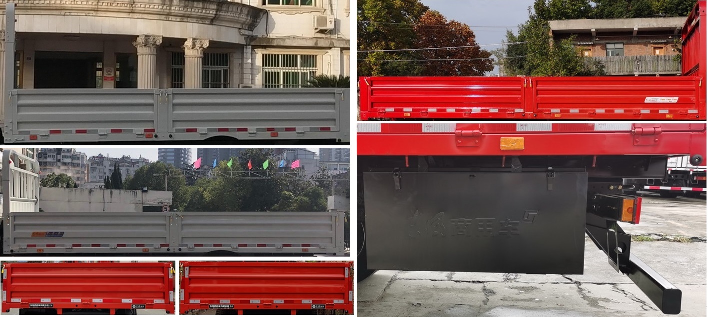 东风牌DFH1110E载货汽车公告图片