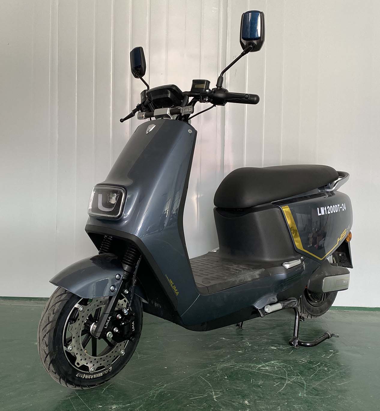 立马牌LM1200DT-24电动两轮摩托车公告图片