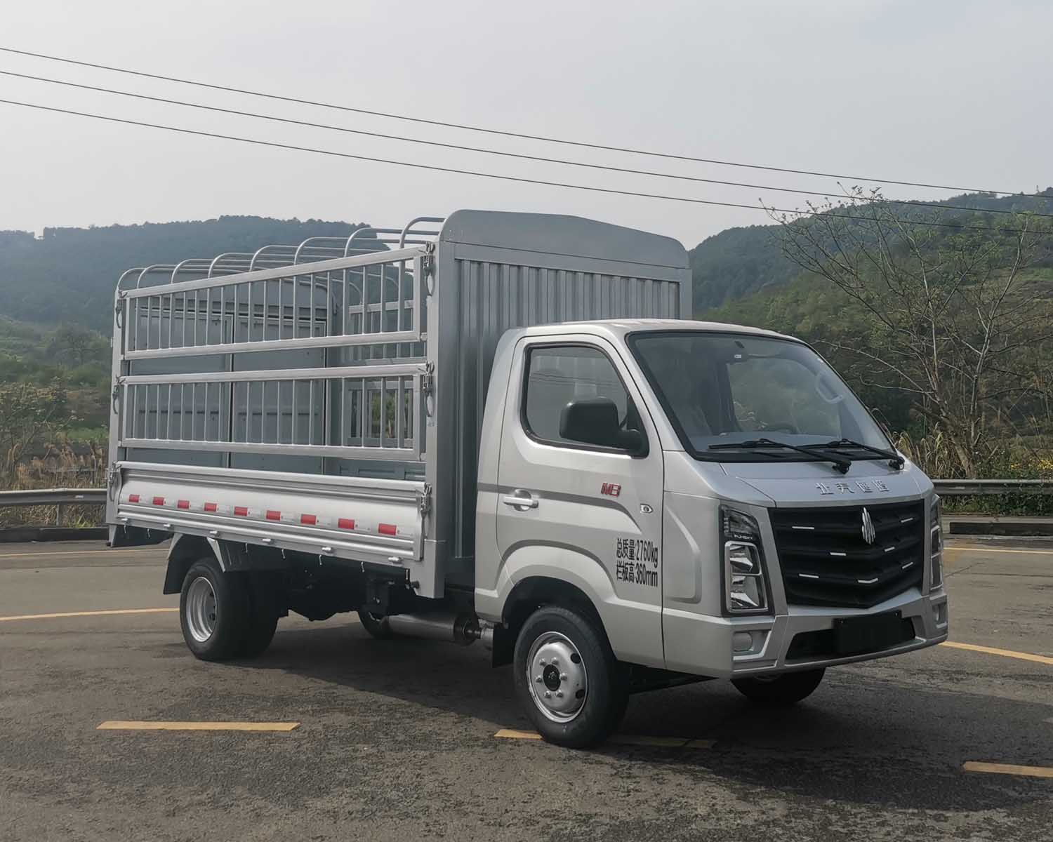 北京牌BJ5030CCYXMV1T-1倉柵式運(yùn)輸車公告圖片
