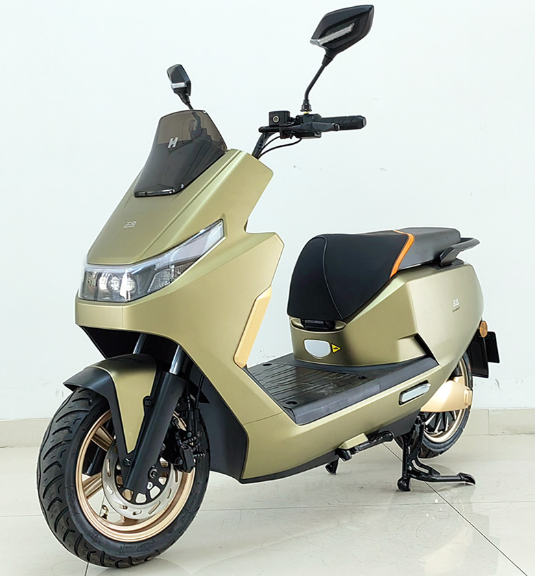 志迅牌ZX1500DT-A电动两轮摩托车公告图片