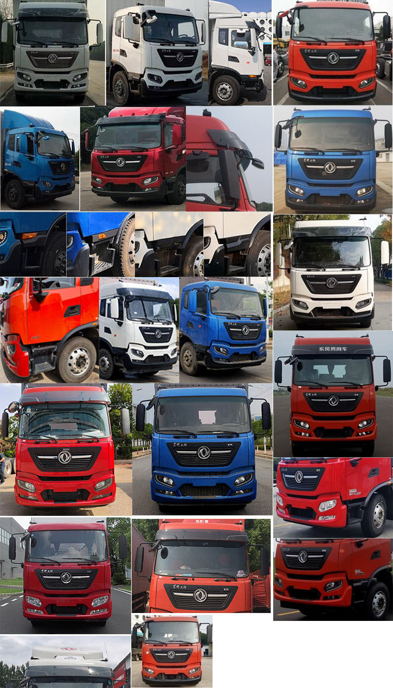 東風(fēng)牌DFH5160XYKEX5A翼開啟廂式車公告圖片