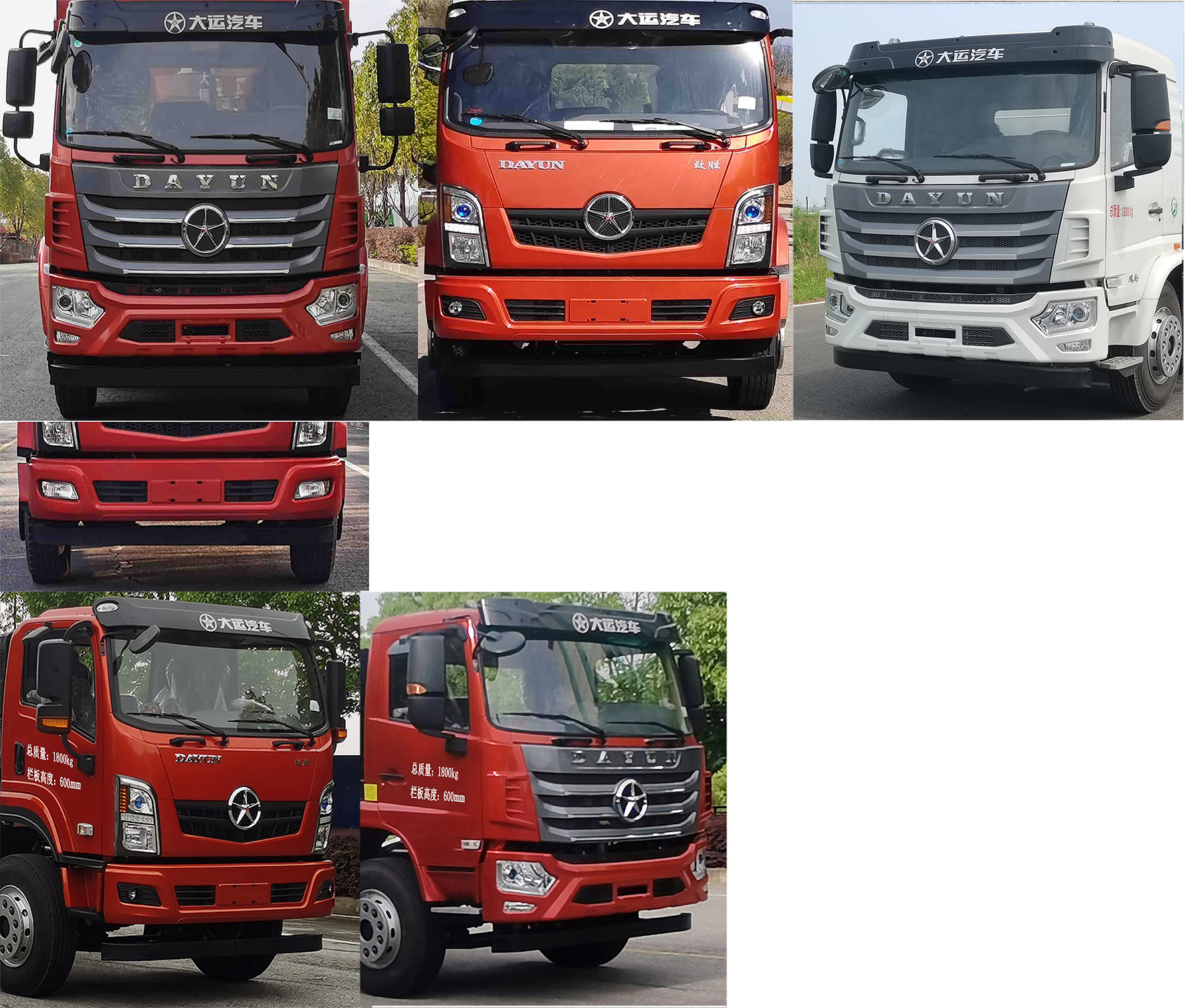 大運牌DYQ5183JSQD6AC隨車起重運輸車公告圖片