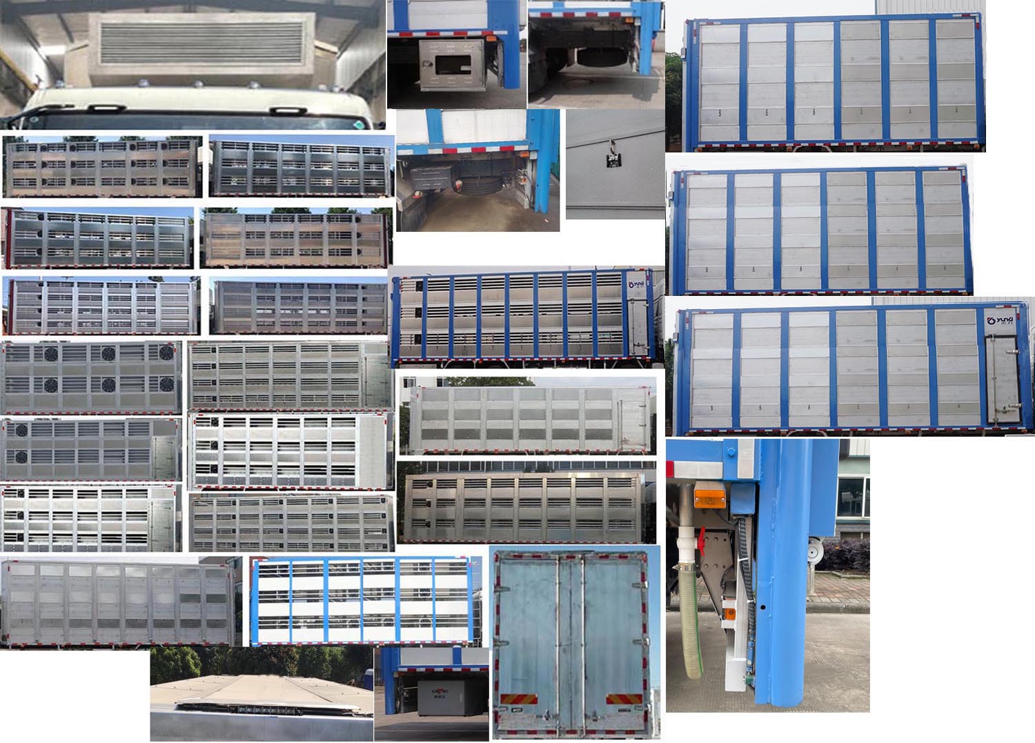 運(yùn)力牌LG5180XCQZ6雛禽運(yùn)輸車公告圖片