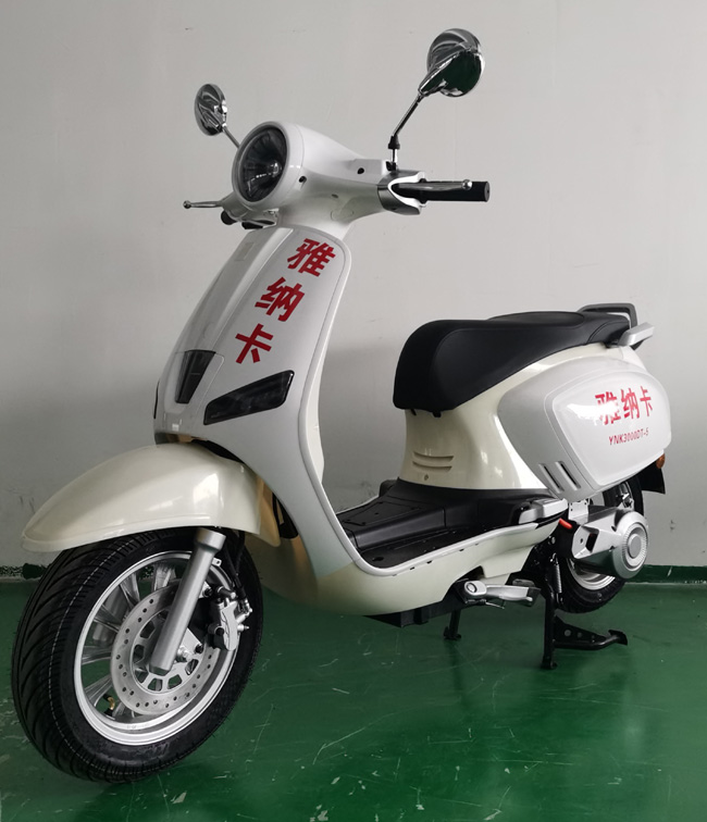 雅纳卡牌YNK3000DT-5电动两轮摩托车公告图片