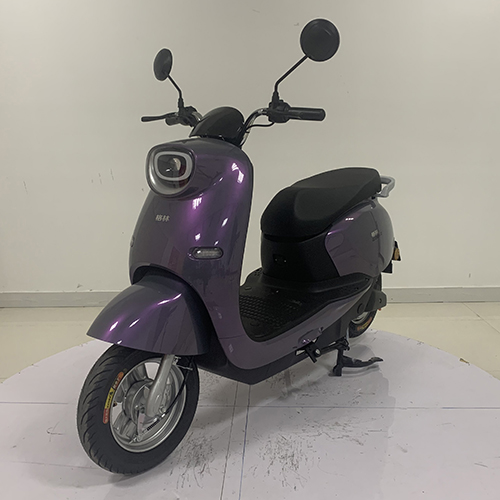 GL1200DT-12 格林牌纯电动前盘式/鼓式后鼓式电动两轮摩托车图片