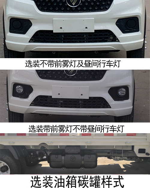 福田牌BJ1030V5JV7-32载货汽车公告图片